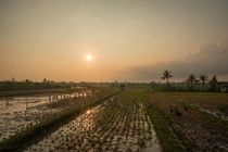Sotis Villa Canggu Dalung  Esterno foto